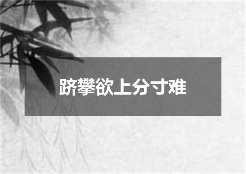 跻攀欲上分寸难