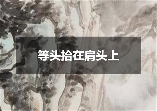 等头拾在肩头上