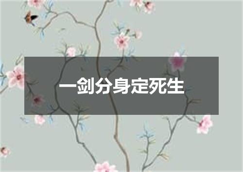 一剑分身定死生