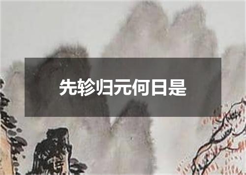 先轸归元何日是
