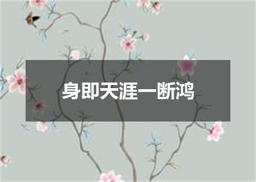 身即天涯一断鸿