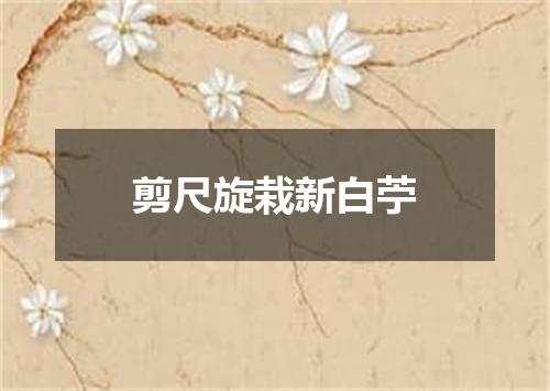 剪尺旋栽新白苧