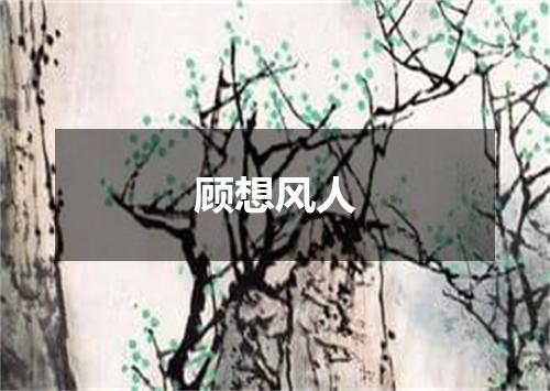 顾想风人
