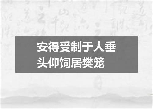 安得受制于人垂头仰饲居樊笼