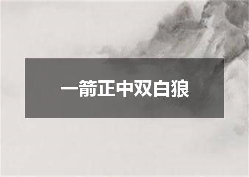 一箭正中双白狼