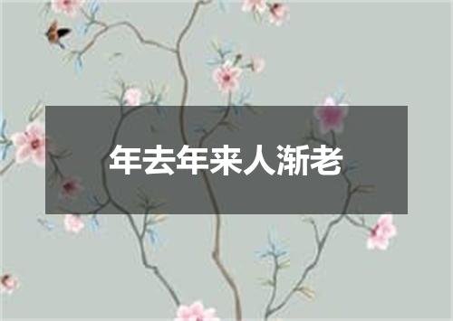 年去年来人渐老