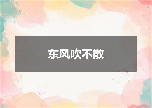 东风吹不散