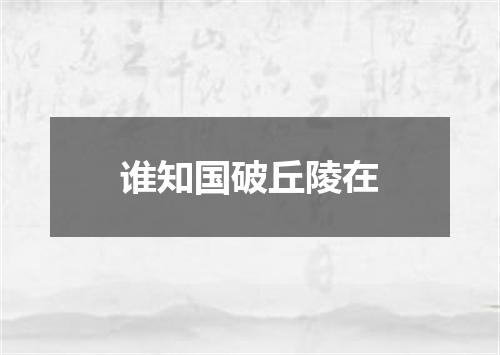 谁知国破丘陵在