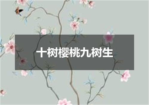 十树樱桃九树生