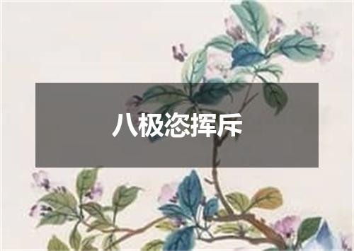 八极恣挥斥