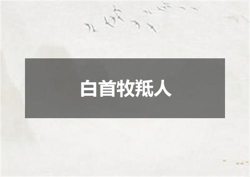 白首牧羝人