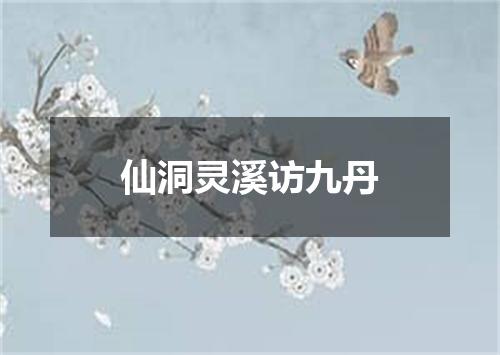 仙洞灵溪访九丹