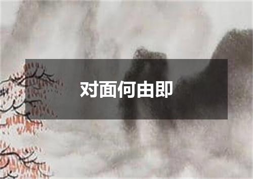 对面何由即
