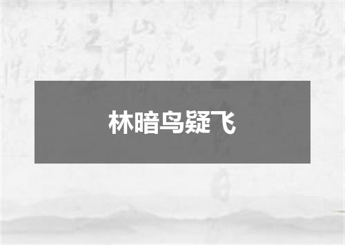 林暗鸟疑飞