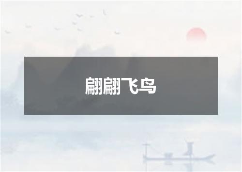 翩翩飞鸟