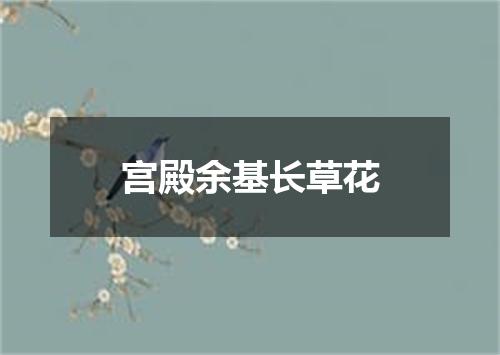 宫殿余基长草花