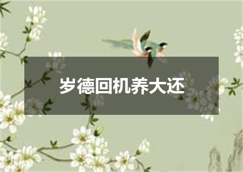 岁德回机养大还