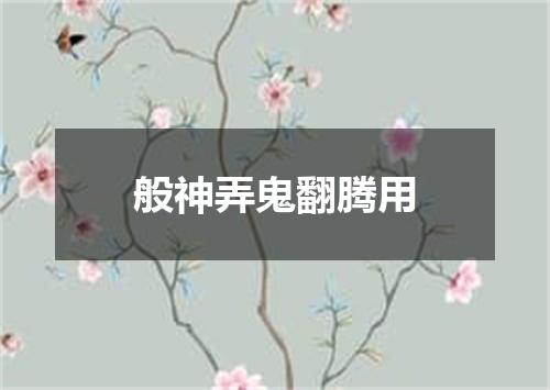 般神弄鬼翻腾用