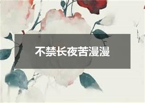 不禁长夜苦漫漫