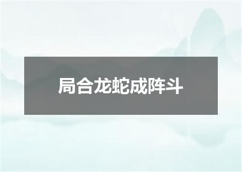 局合龙蛇成阵斗