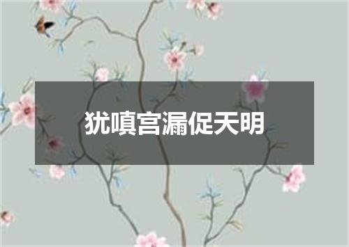 犹嗔宫漏促天明