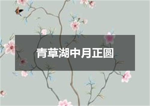 青草湖中月正圆