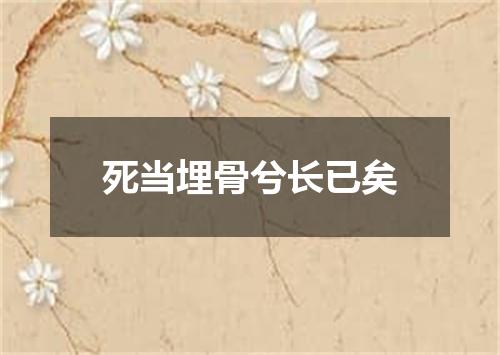 死当埋骨兮长已矣