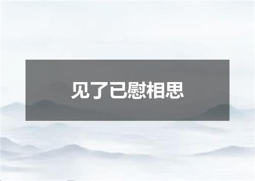 见了已慰相思