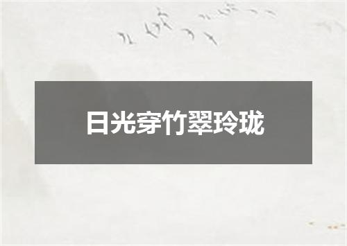 日光穿竹翠玲珑