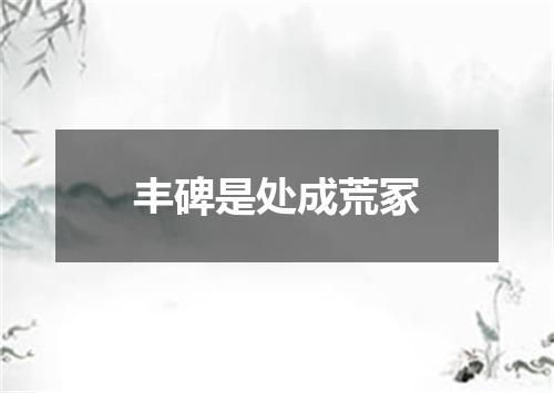 丰碑是处成荒冢