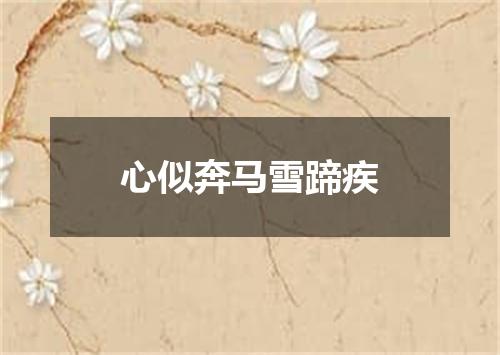 心似奔马雪蹄疾