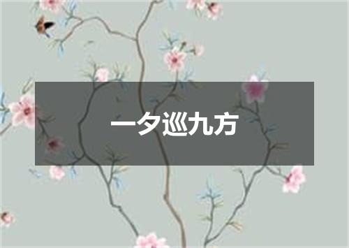 一夕巡九方