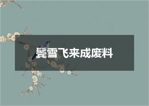 鬓雪飞来成废料