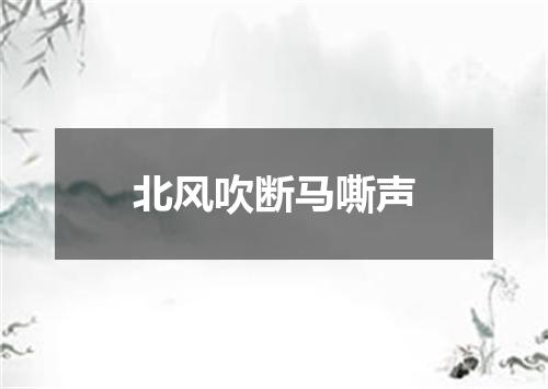 北风吹断马嘶声