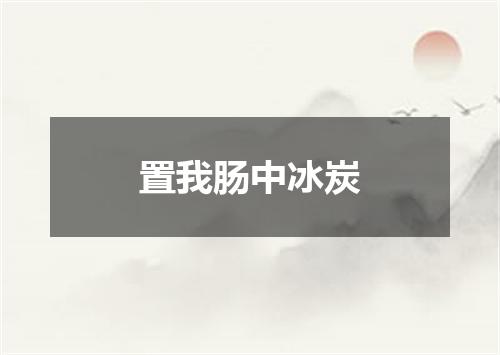 置我肠中冰炭