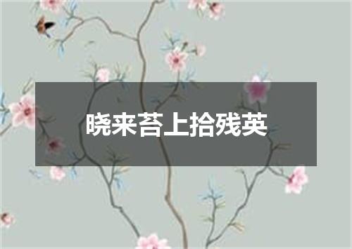 晓来苔上拾残英
