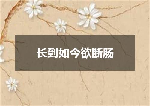 长到如今欲断肠
