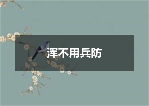浑不用兵防