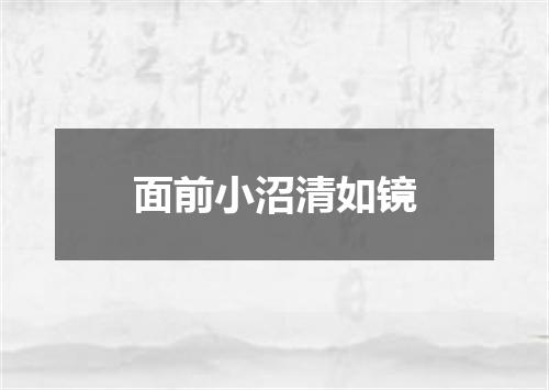 面前小沼清如镜