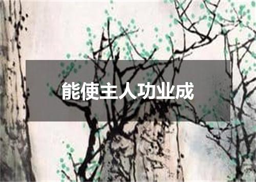 能使主人功业成
