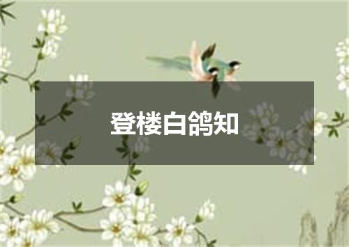 登楼白鸽知