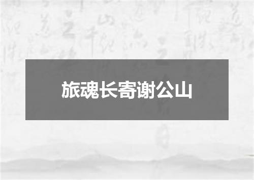 旅魂长寄谢公山