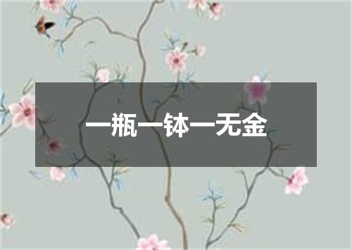 一瓶一钵一无金