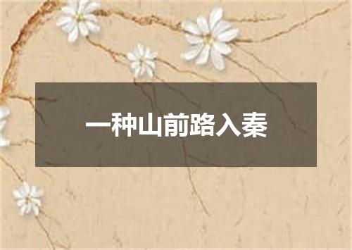 一种山前路入秦