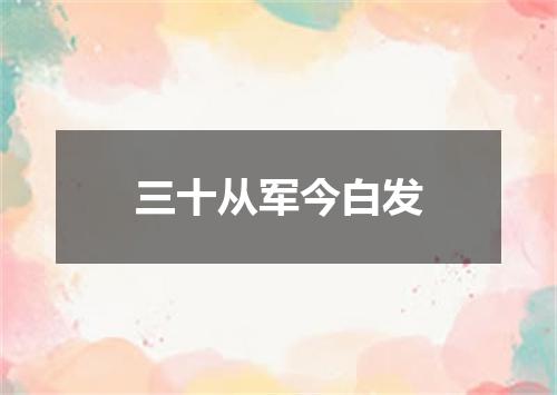 三十从军今白发