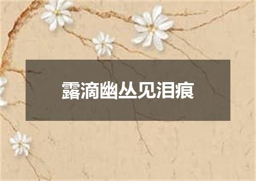 露滴幽丛见泪痕