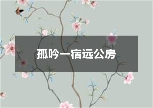 孤吟一宿远公房