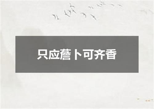 只应薝卜可齐香