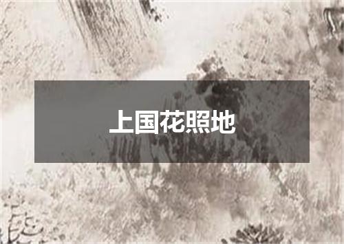 上国花照地