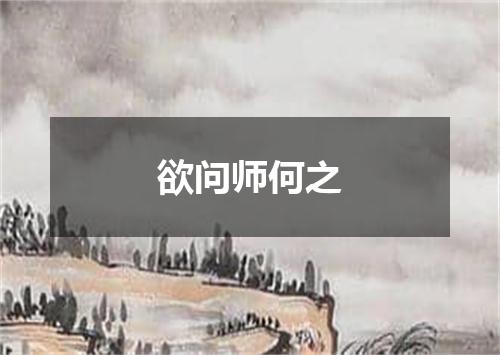 欲问师何之